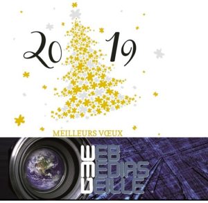 WMV Voeux 2019 - Copie